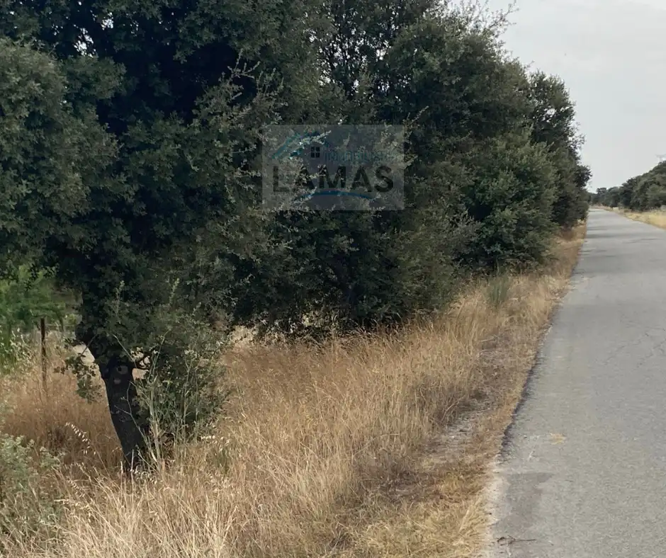 Terreni e lotti in vendita a Saucedilla, imagen 10