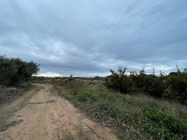 Terreno rustico in vendita a Vilafortuny - Cap de Sant Pere