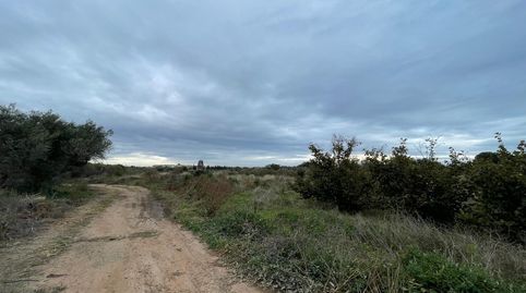 EN VENTA  SUELO RÚSTICO EN CAMBRILS TARRAGONA