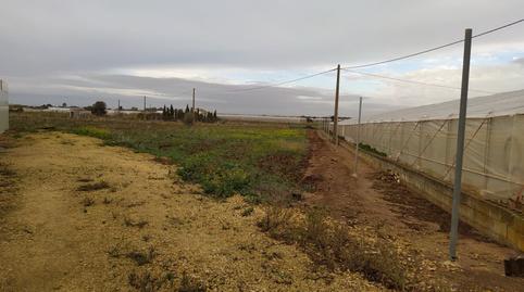 Foto 3 de Finca rústica en venta en Pelagatos - Pago del Humo, Chiclana de la Frontera
