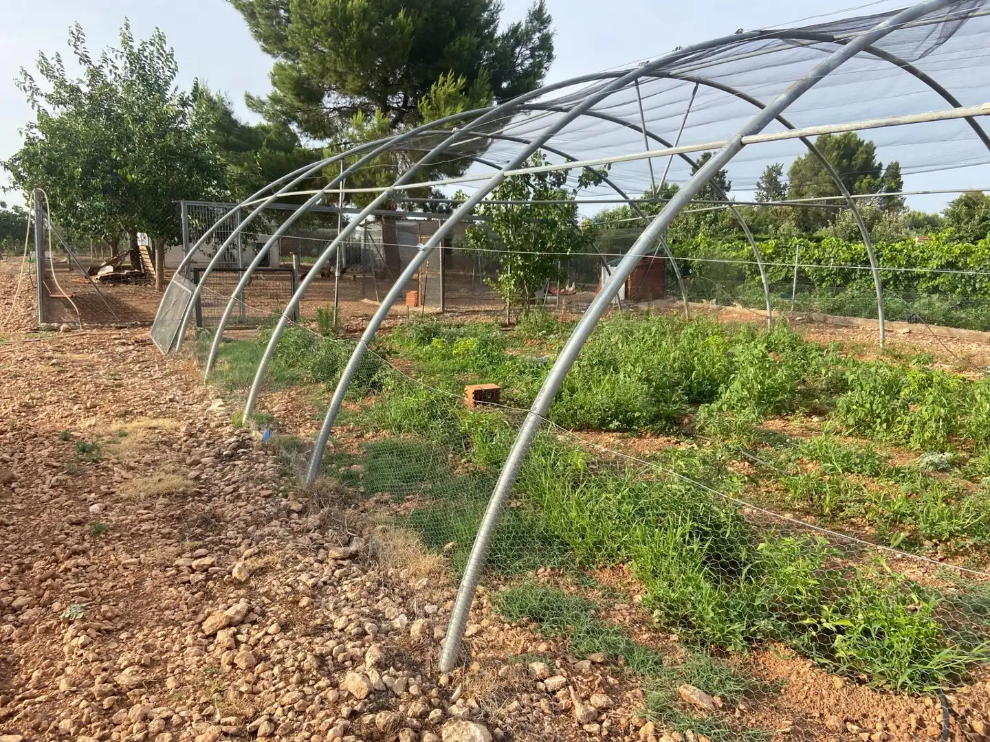 Jardín de Casa o chalet en venta en Ciudad Real con Aire acondicionado, Calefacción y Jardín privado