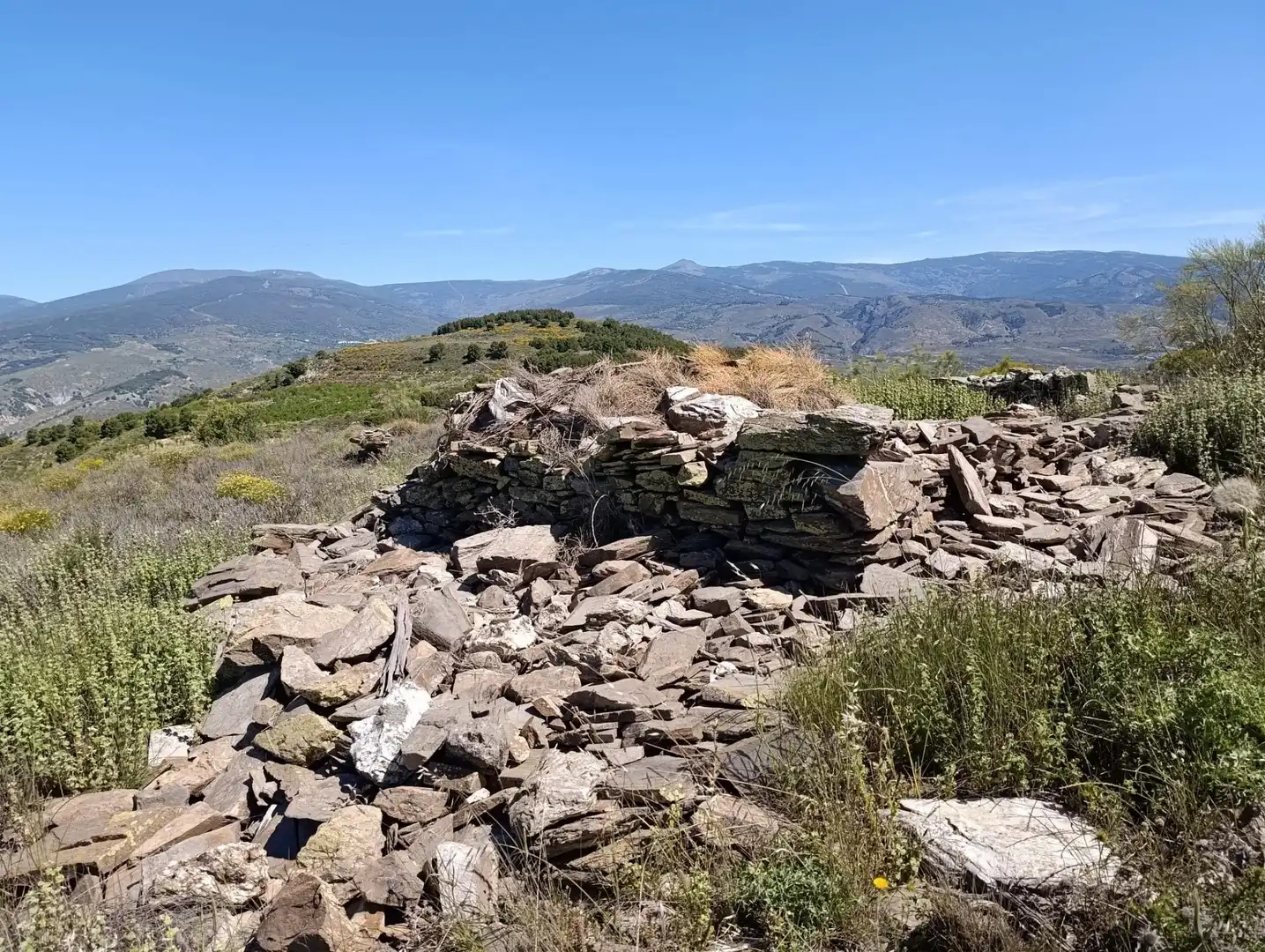 Terrenys i solars en venda a Laujar de Andarax, imagen 2
