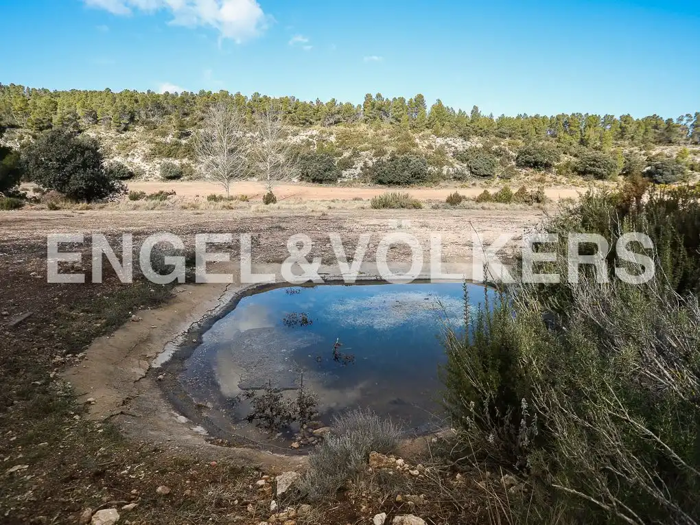 Finca rústica en venda en Ayora amb Jardí privat, Parquet i Terrassa