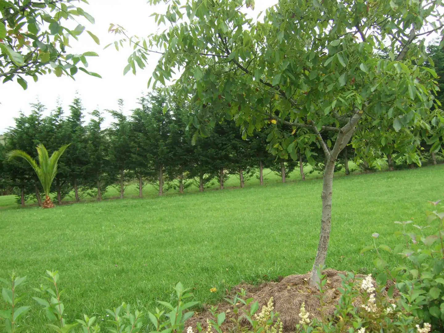 Garden of Houses for sale in San Vicente de la Barquera  with Heating, Private garden and Storage room