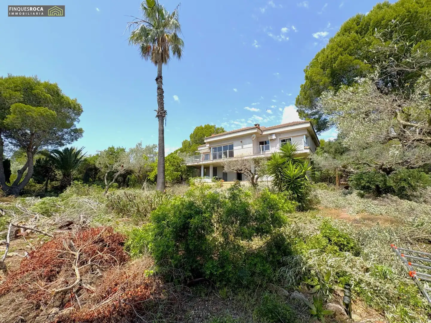 Jardí de Casa o xalet en venda en Alcanar amb Aire condicionat, Calefacció i Jardí privat