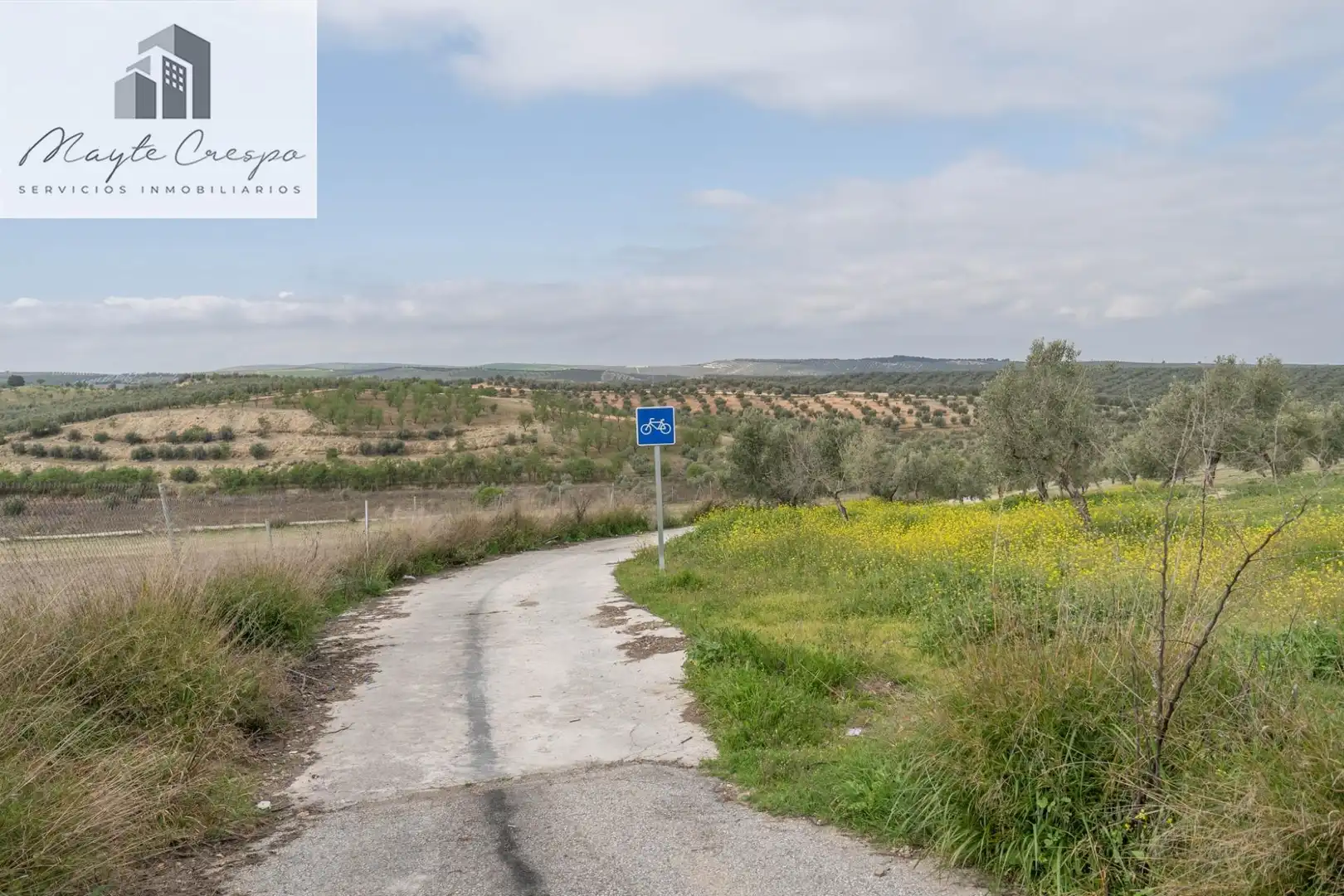 House with pool for sale in Calle del Geranio 29, imagen 54