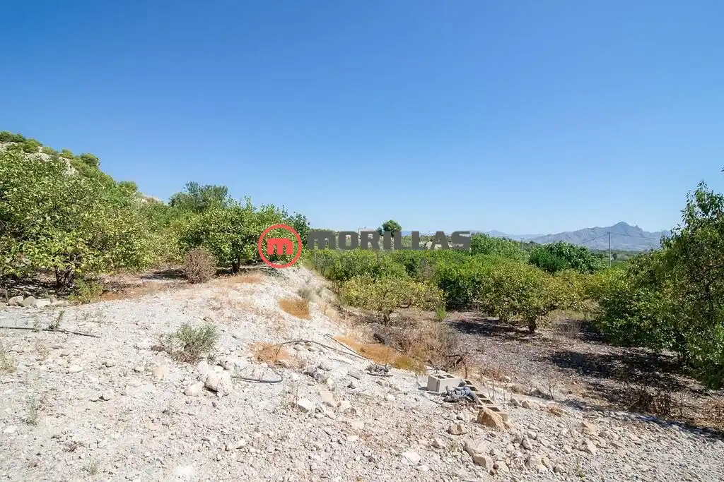 Lands and plots for sale in Carretera de Abanilla 25, imagen 25
