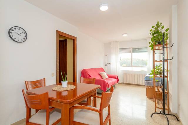 Apartamento en Alquiler en Domeny