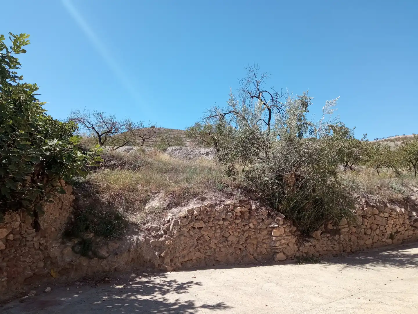 Residential for sale in Turón