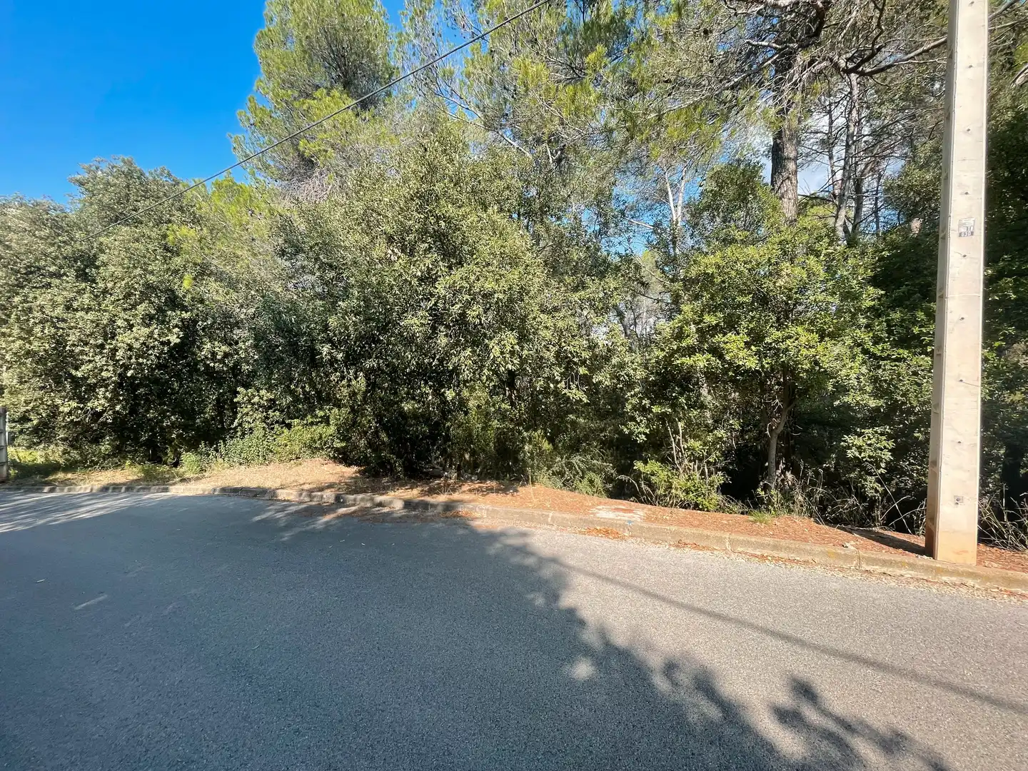 Terrain résidentiel à vendre à Carrer del Turó de la Carlina 29, imagen 3