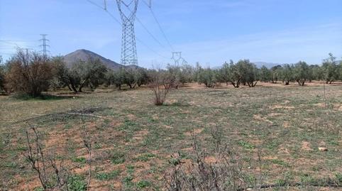 Foto 5 de Finca rústica en venta en Polígono la Zanja, Albolote, Granada