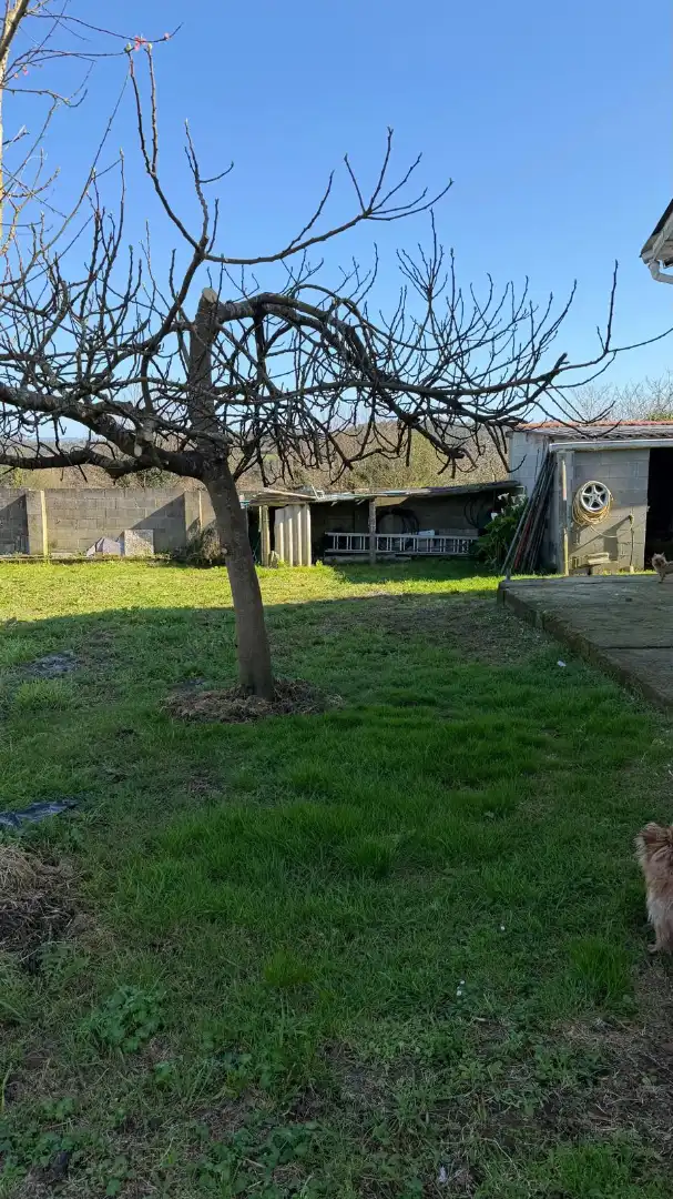 Casa o xalet en venda en Carballo amb Calefacció, Jardí privat i Moblat