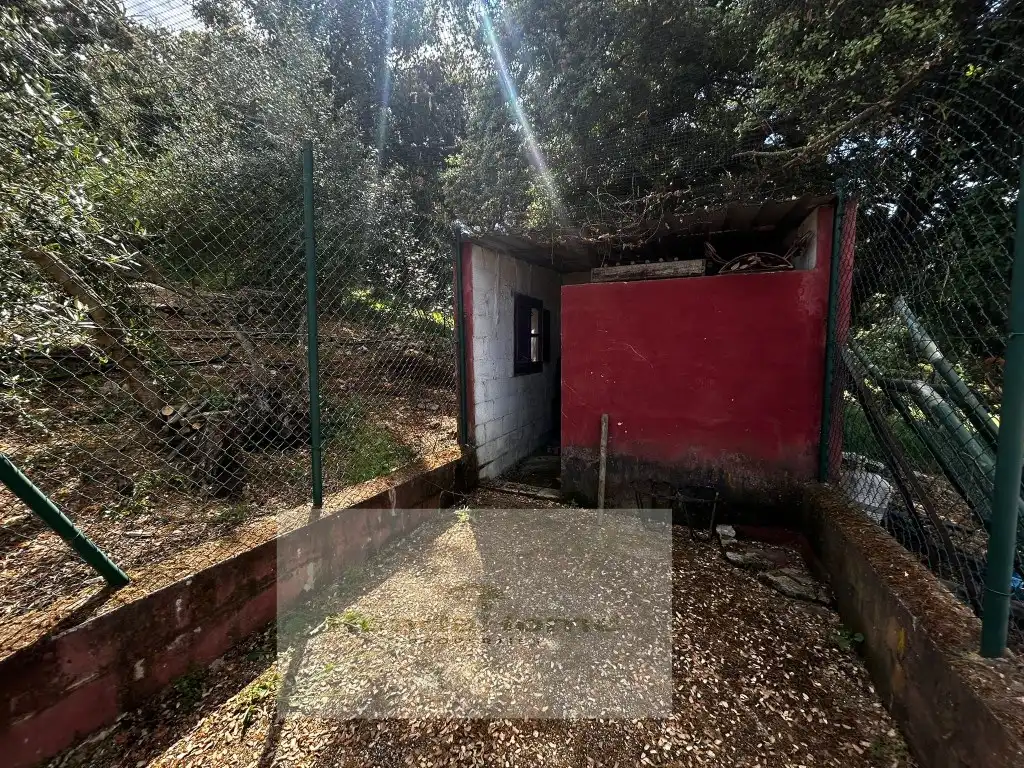 Finca rústica en venda en Ronda amb Piscina