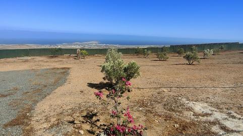 Photo 4 of House or chalet for sale in El Aulugar Casa Alonso, El Goro - Ojos de Garza, Las Palmas