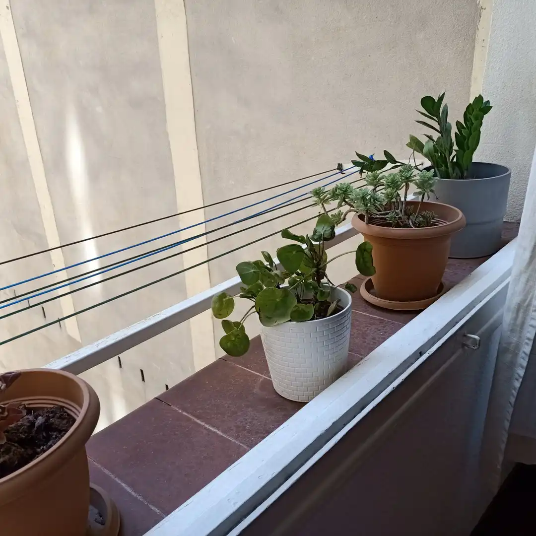 Terraza de Loft de alquiler en Barcelona