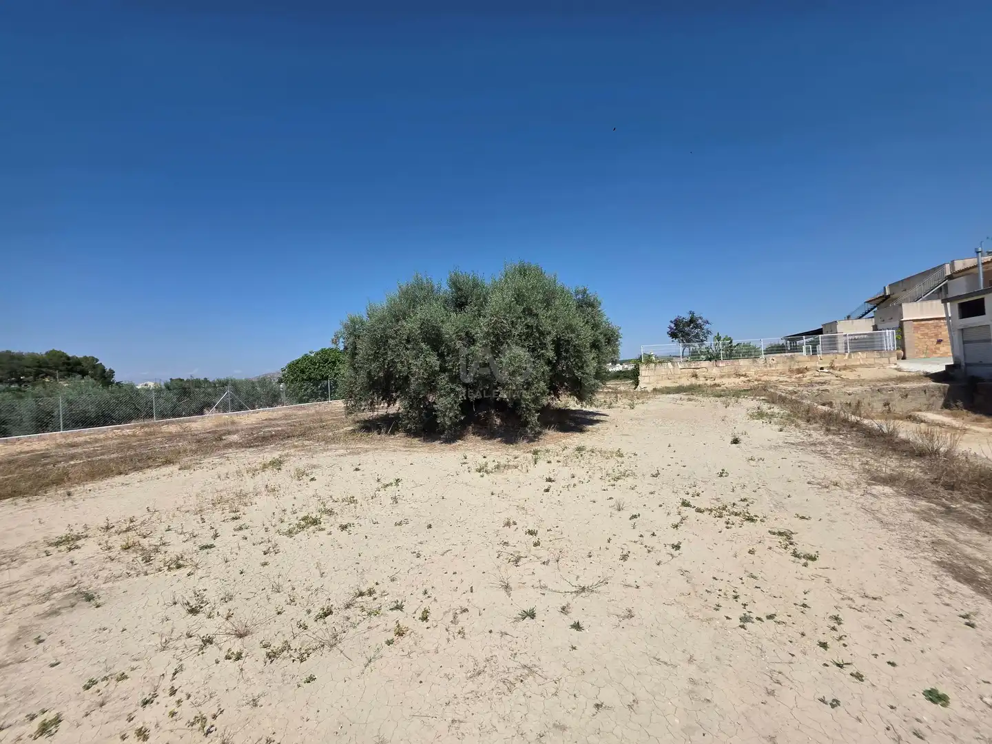 Terrenos y solares en venta en Cehegín, imagen 16