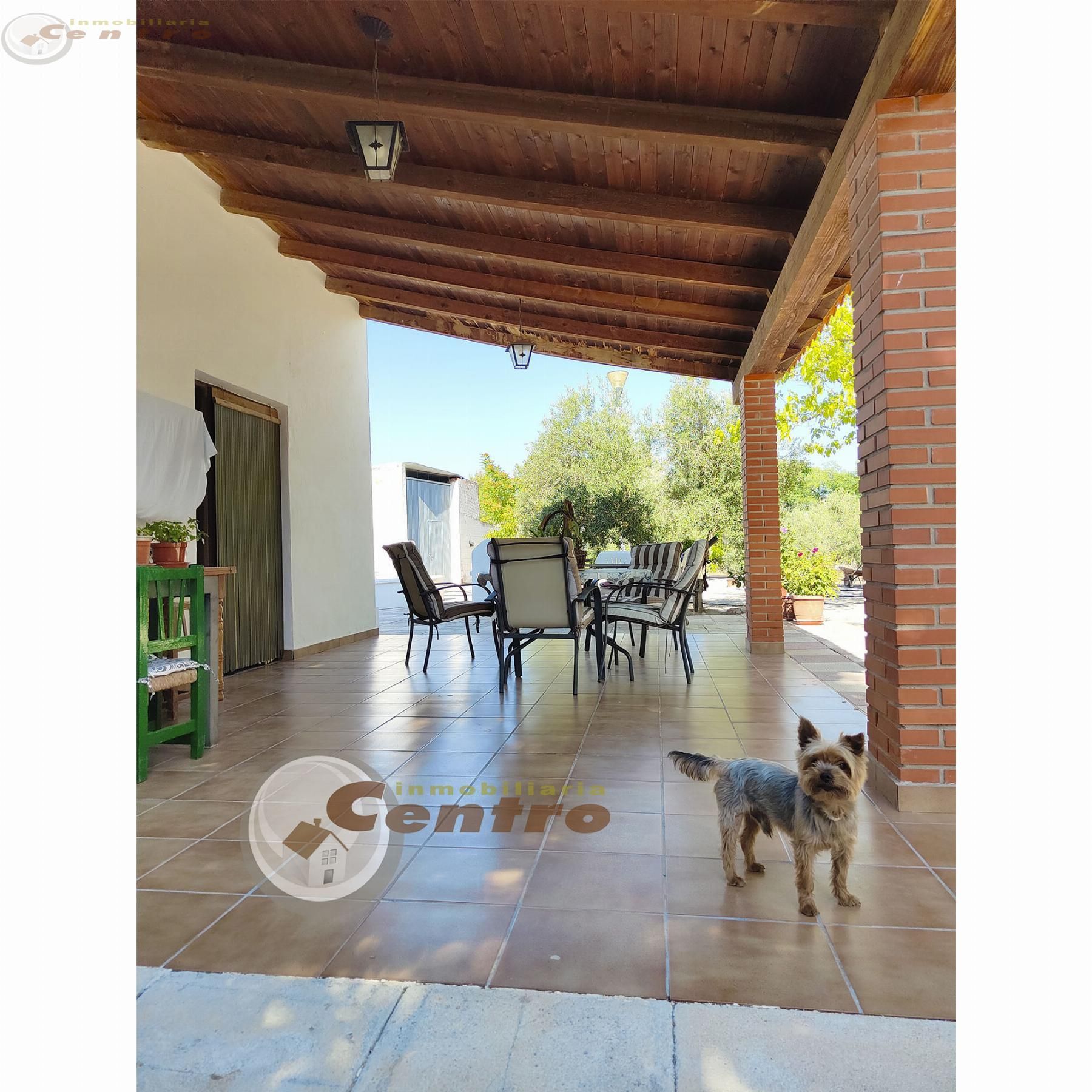 Haus oder Chalet zum Verkauf in Pedanías - Extrarradio