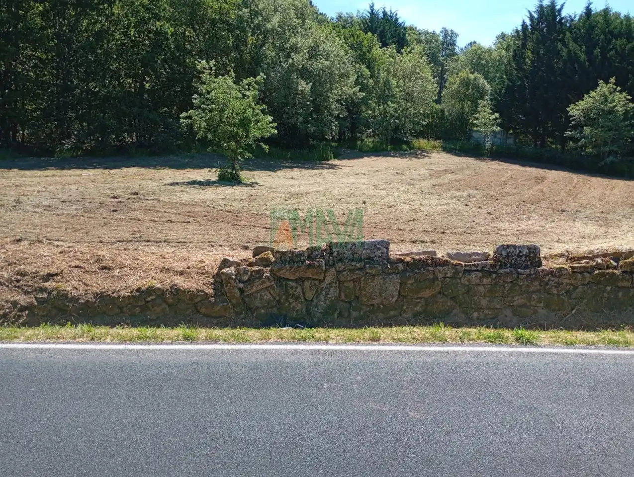 Terreni e lotti in vendita a O Pereiro de Aguiar, imagen 2