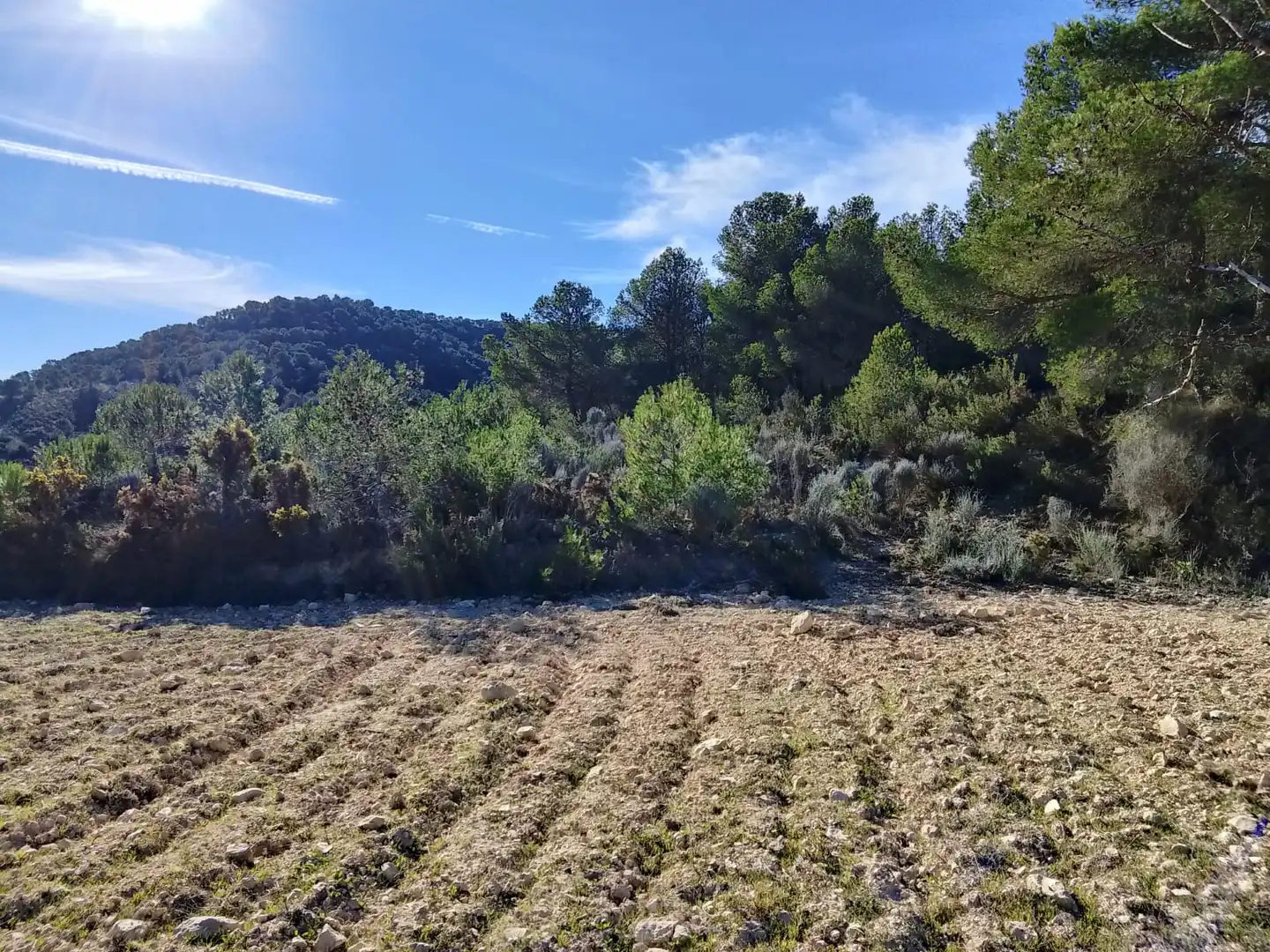 Terreno rustico in vendita a Carrer la Creu, imagen 19