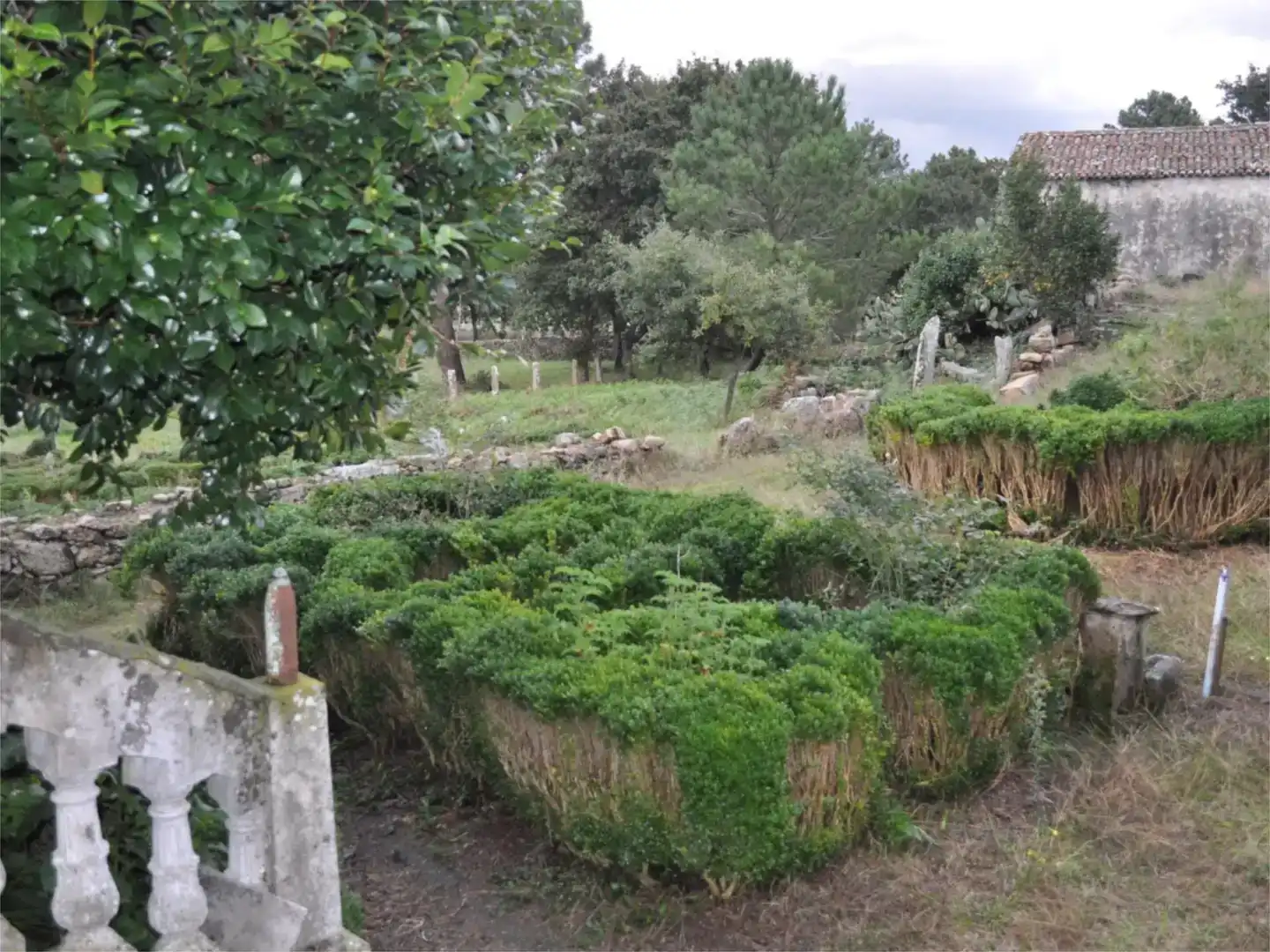 Garten von Grundstücke zum Verkauf in Vilagarcía de Arousa