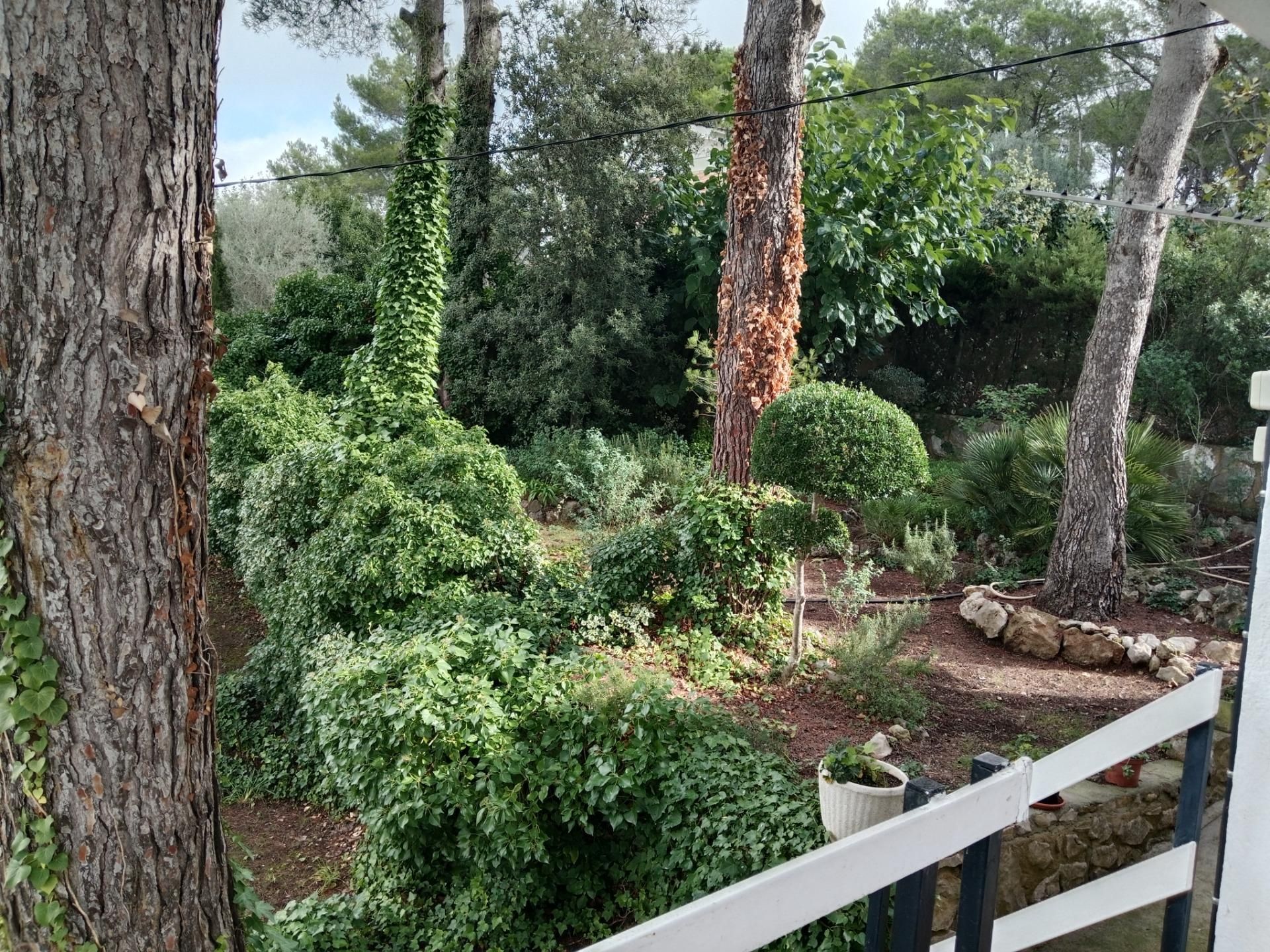 Jardí de Casa o xalet en venda en El Montmell
