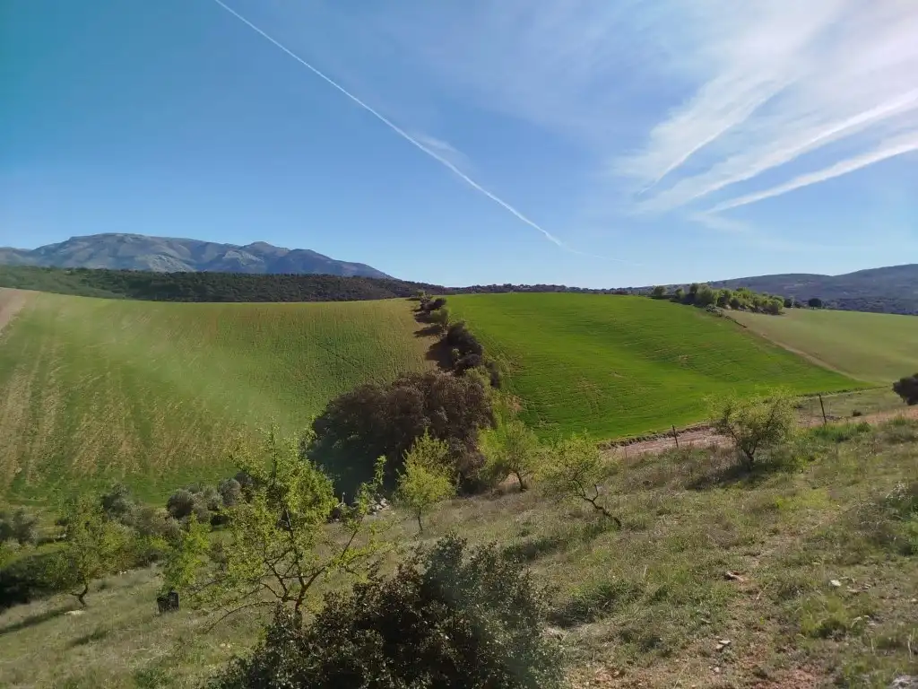 Casa o chalet en venta en Alhama de Granada