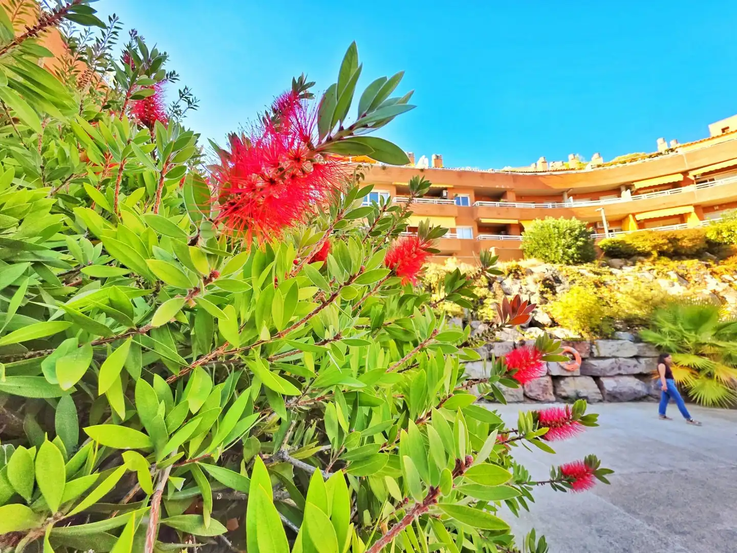 Garden of Flat for sale in Mont Ferrant - Joan Carles I