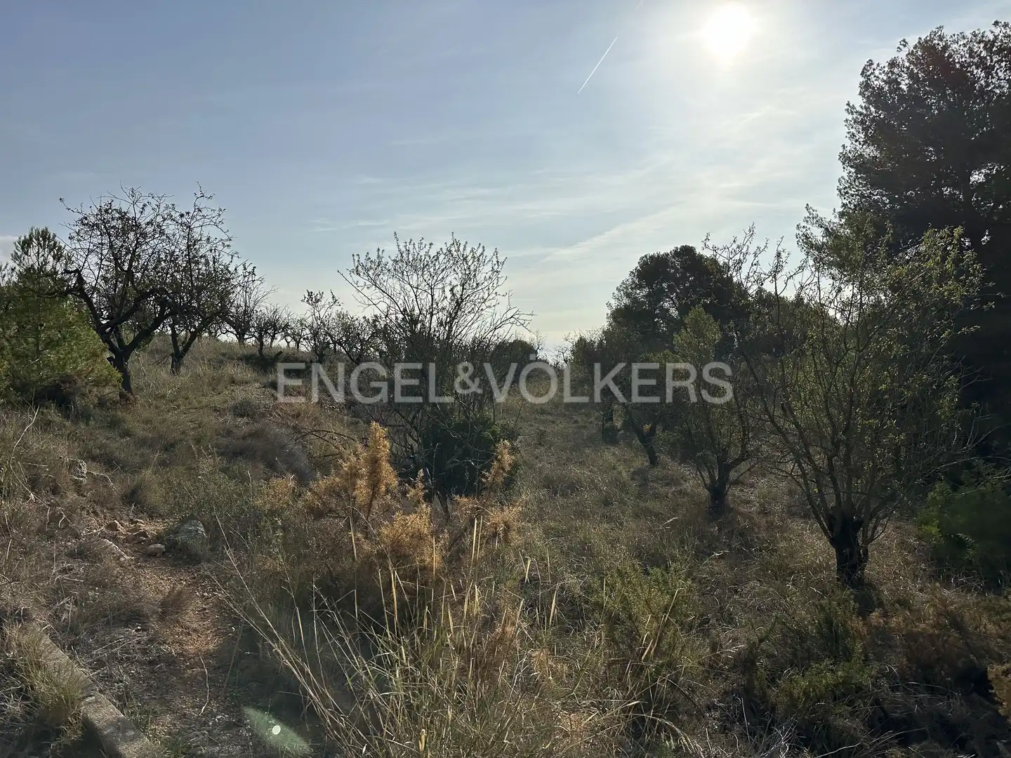 Residential land for sale in Torrelles de Foix, imagen 7