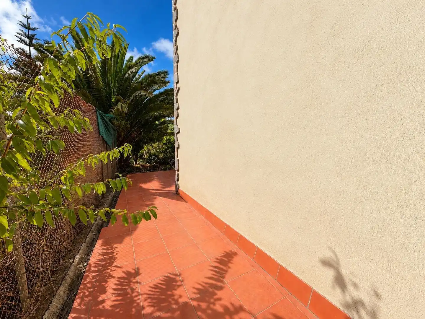 Maison avec jardin à vendre à Camino al Junquillo, imagen 4