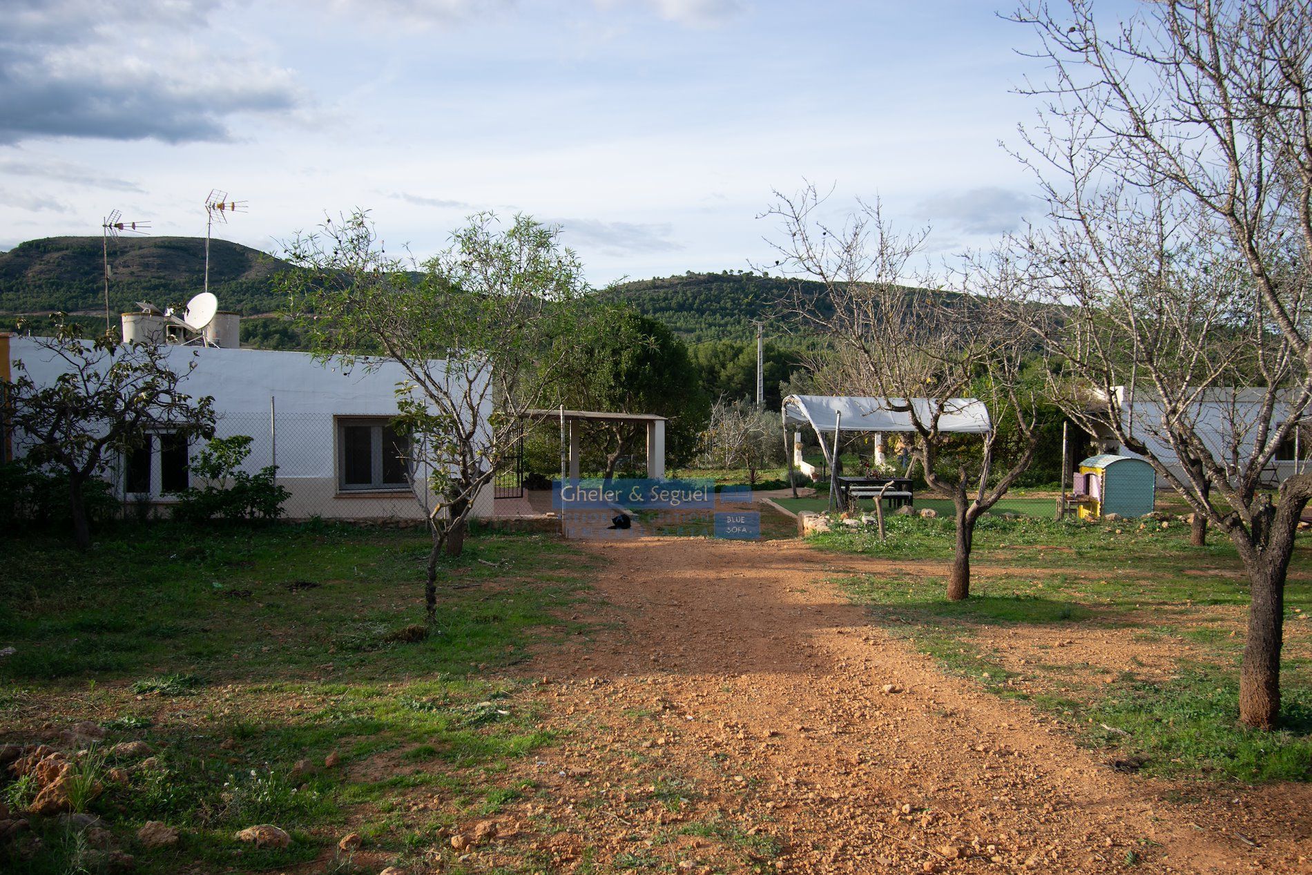 Garden of House or chalet for sale in Algímia de Alfara