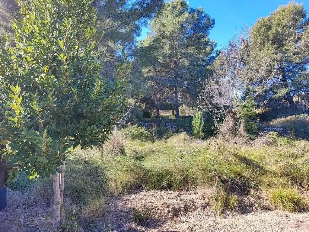Terreno residencial en venta en Calle Ceps Dels, imagen 5