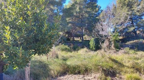 Foto 5 de Residencial en venta en Calle Ceps Dels, Els Pallaresos, Tarragona