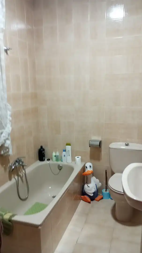 Bany de Casa o xalet en venda en Baza amb Moblat