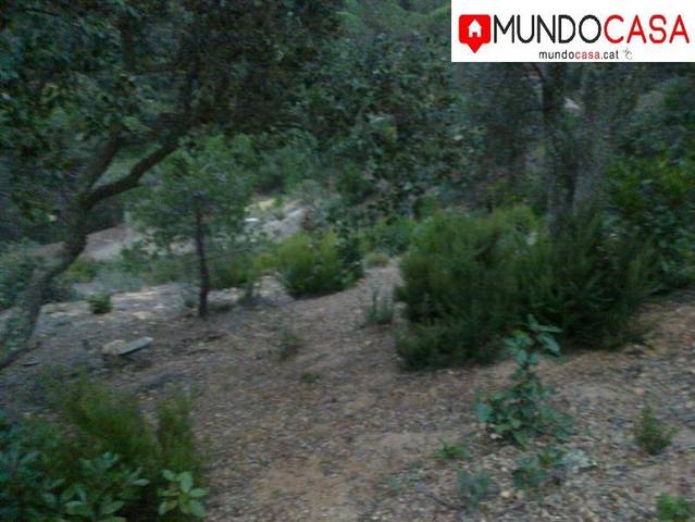 Terreno residencial en Venta en Mas Baell - Can Carbó