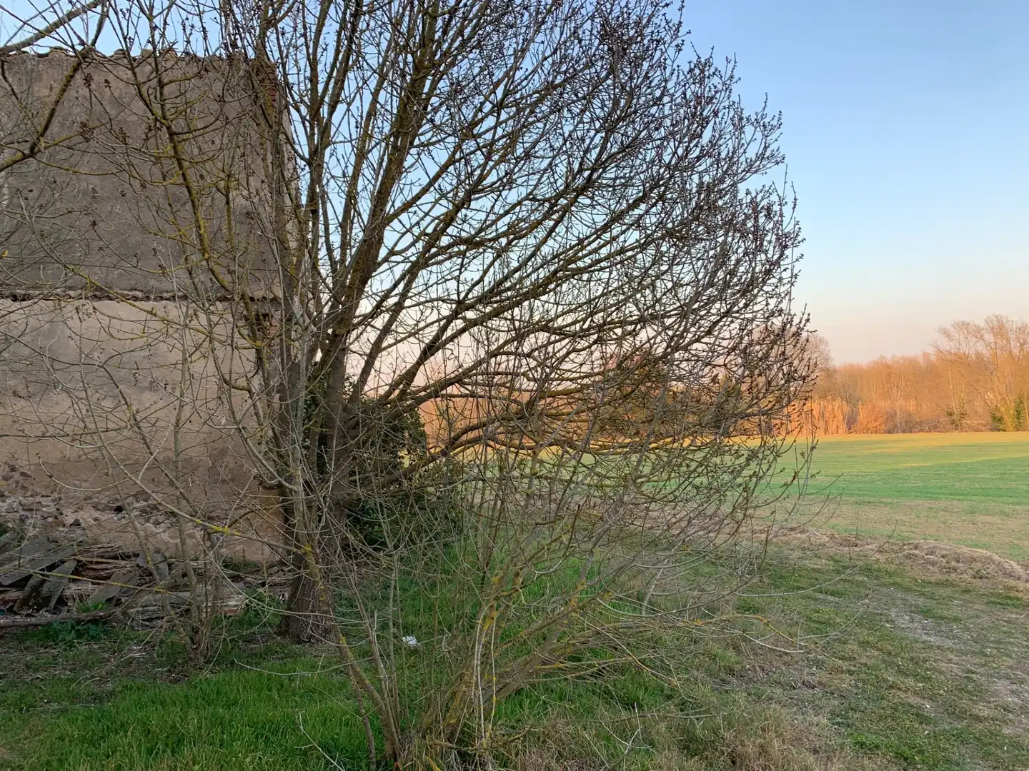 Finca rústica en venta en Pinós