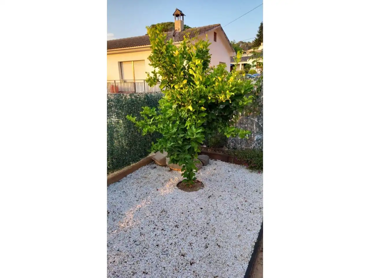 Jardín de Casa o chalet en venta en La Roca del Vallès con Aire acondicionado, Calefacción y Jardín privado