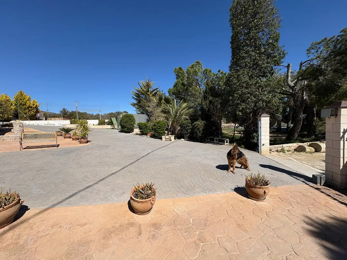 Villa in vendita a CV-83, el Fondó, Monòver / Monóvar, el Vinalopó Mitjà / El Vinalopó Medio, Alacant / Alicante, Valencian Community, Spain, imagen 2