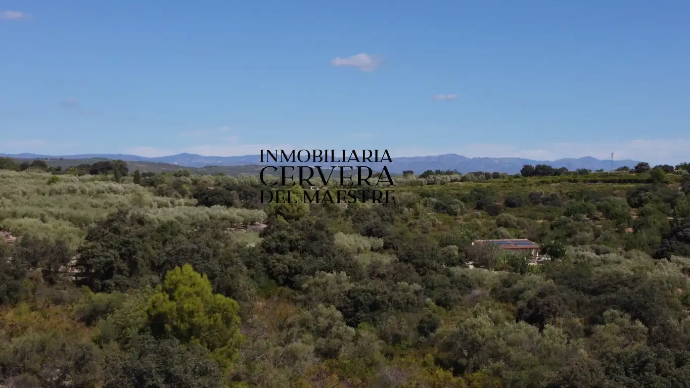 Terreno rustico in vendita a Cervera del Maestre, imagen 15