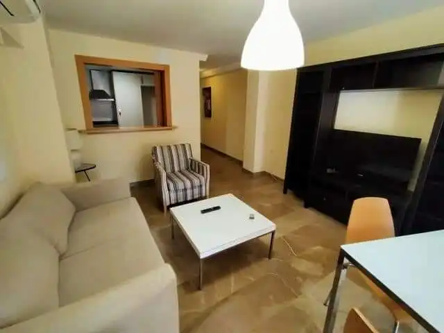 Sala d'estar de Apartament de lloguer en Granada amb Moblat, Rentadora i Microones