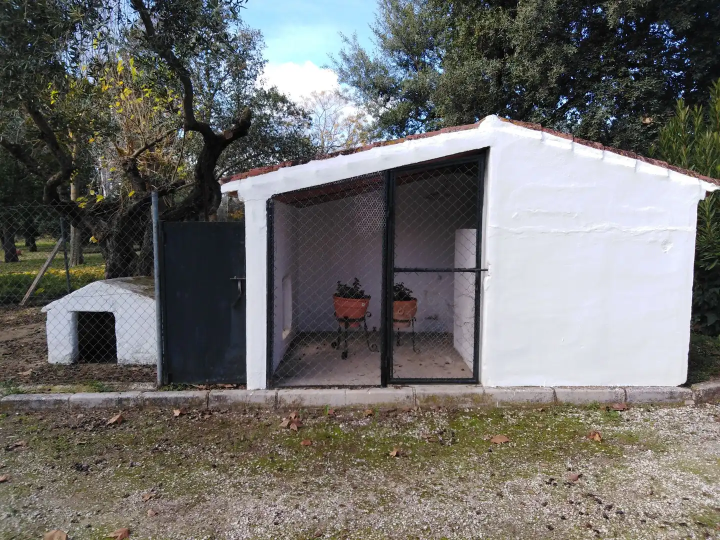 Casa rústica amb piscina en venda a Partidas Norte, imagen 47