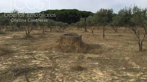 Foto 3 de Finca rústica en venta en Almonte ciudad, Almonte