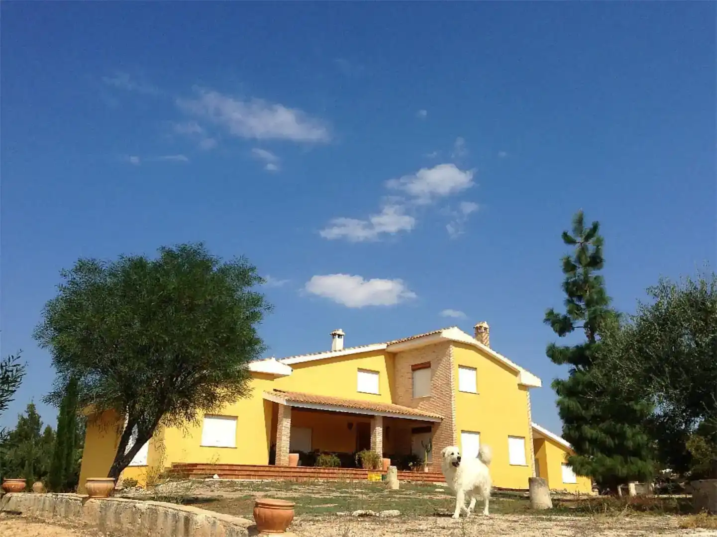 Vista exterior de Piso en venta en Cehegín con Jardín privado, Trastero y Amueblado