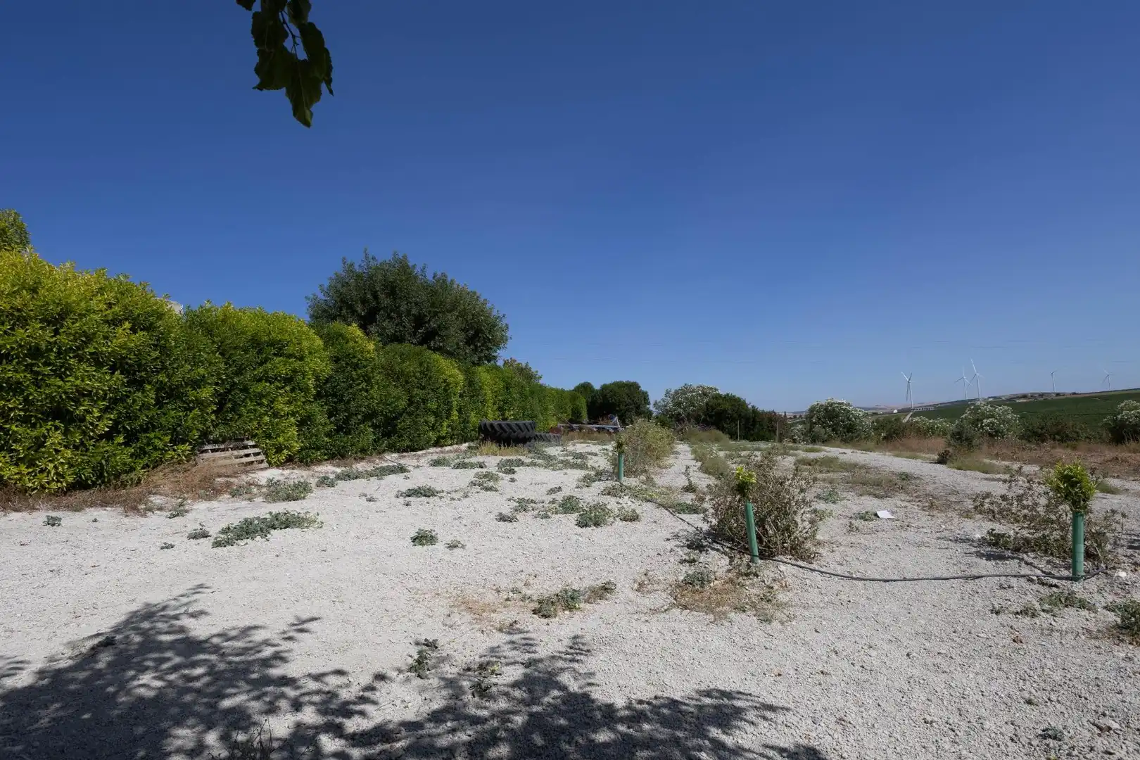 Chalet con piscina en venta en Santiago - Coronación, imagen 55