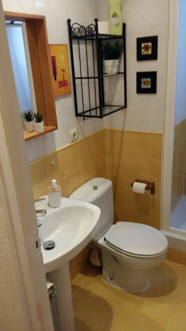 Baño de Estudio de alquiler en Madrid con Aire acondicionado, Calefacción y Parquet