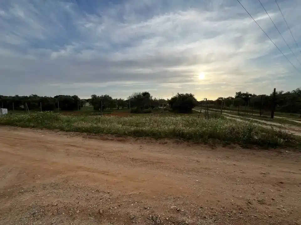 Finca rústica en venda en Puerto Real