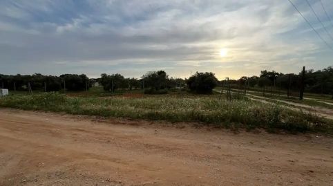 Foto 3 de Finca rústica en venda a Vial Camino, 23, Villanueva Golf, Puerto Real