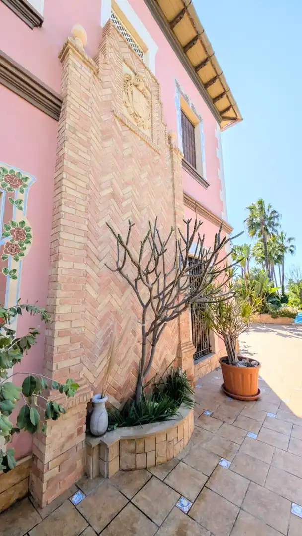 Vista exterior de Casa o chalet en venta en Elche / Elx con Aire acondicionado, Calefacción y Jardín privado
