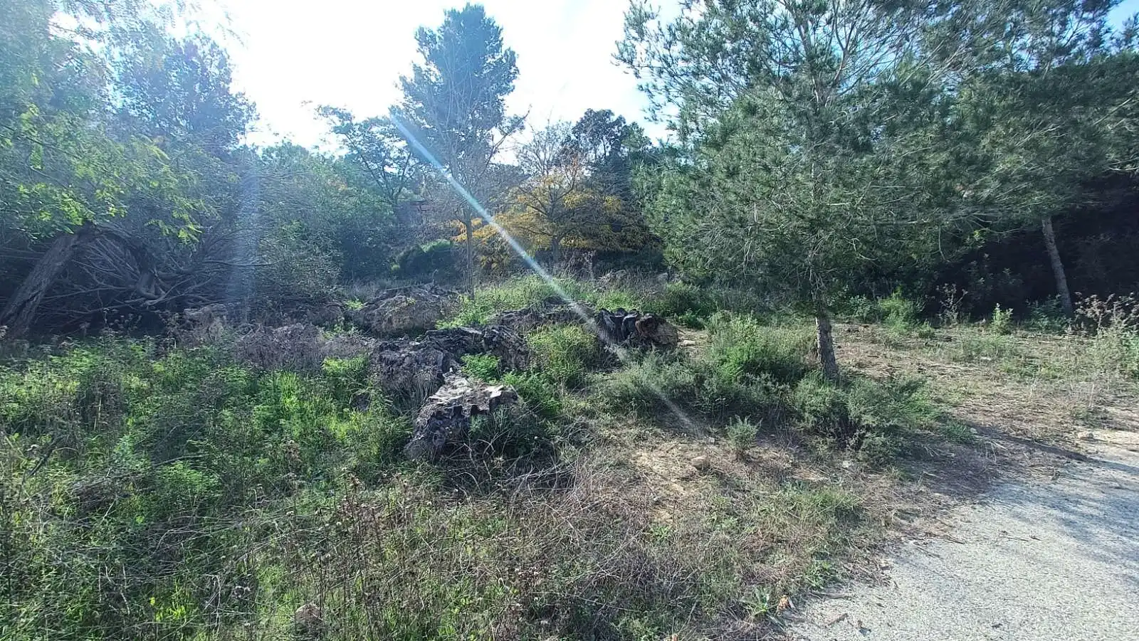 Landhaus zum Verkauf in Campo de Murcia, imagen 34
