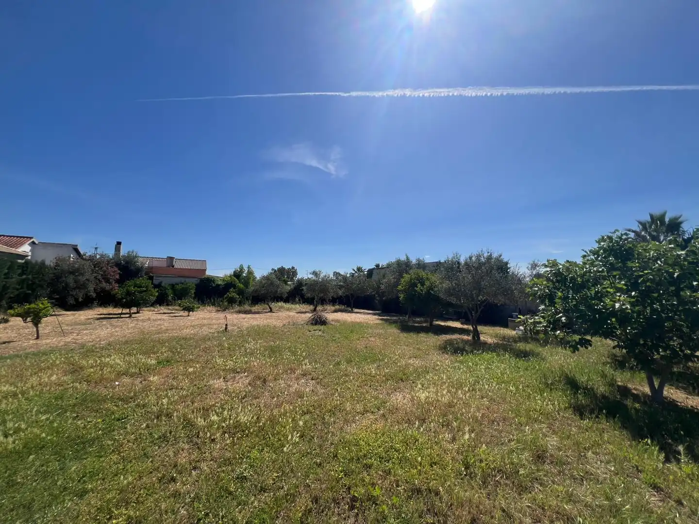 Land for sale in Los Palacios y Villafranca