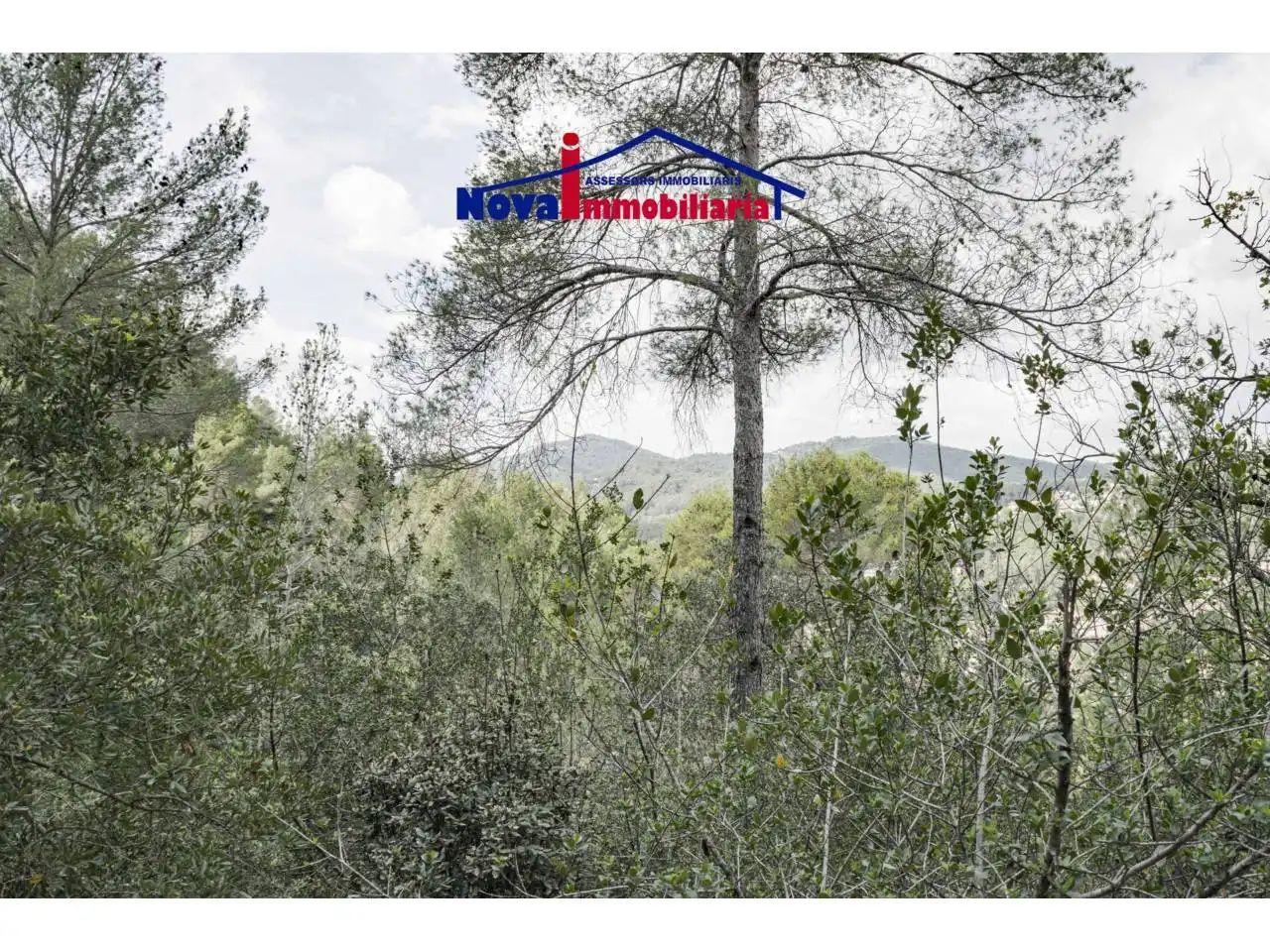 Rural land for sale in Calle Socies 20, imagen 12